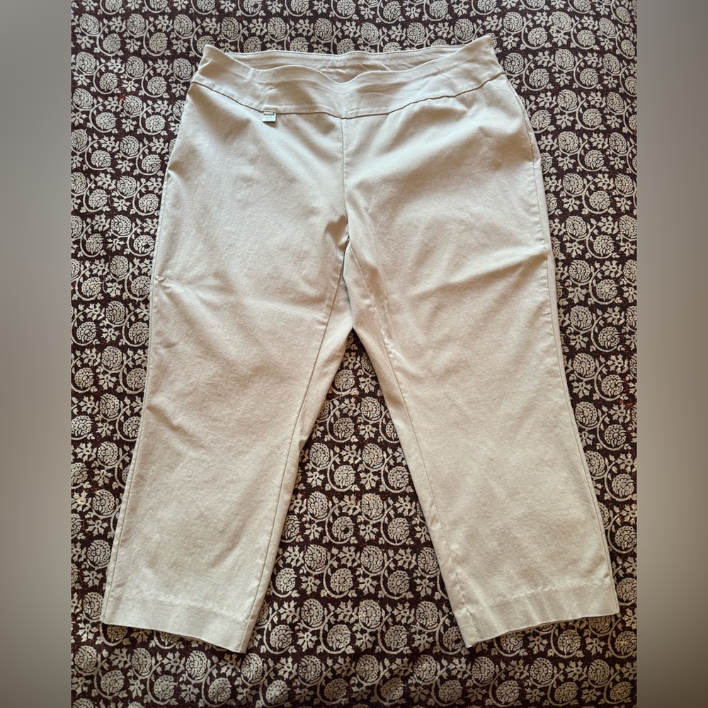 Alfani Capri Pant